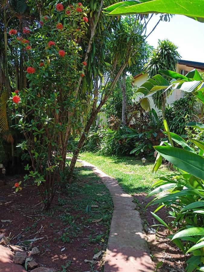 Garden Stone Hostel Puerto Iguazu Exterior photo