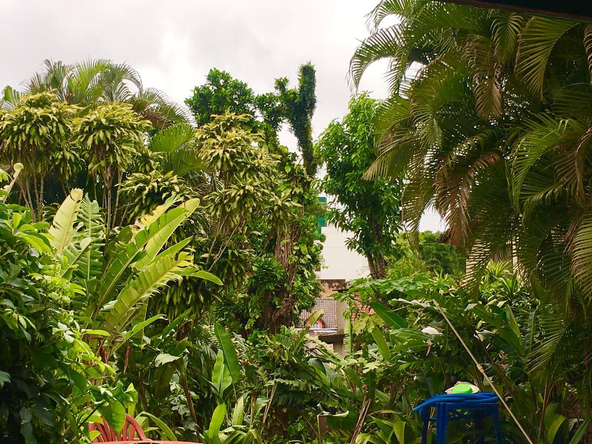 Garden Stone Hostel Puerto Iguazu Exterior photo